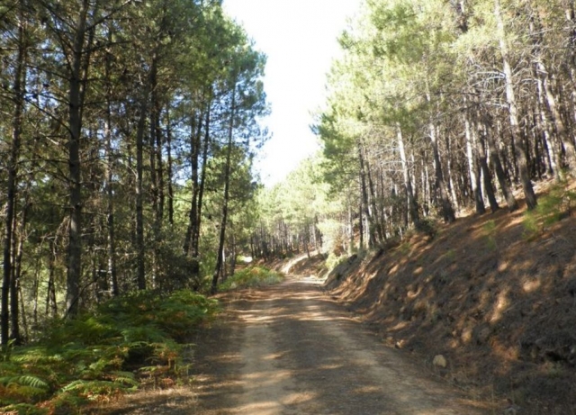  Sentieri da percorrere in fuoristrada 